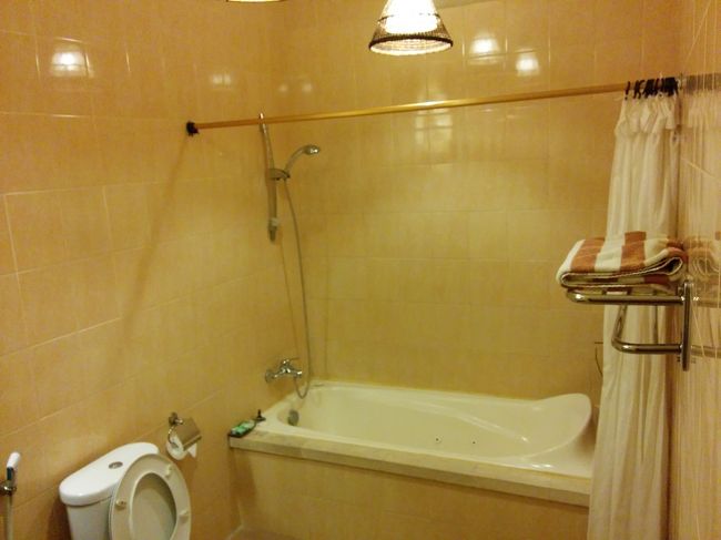 バスタブもあります。<br /><br />トイレも二か所あるので、時期がぶつかっても問題なし（＾＾）<br /><br />だけど、バスルームは使うのが同じなので、私の方に主人が入りに来ました。