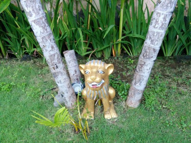 こちらにも癒し発見！