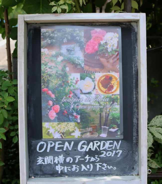 洋書古書 Cottage Flowers ブリティッシュガーデンの通販 by