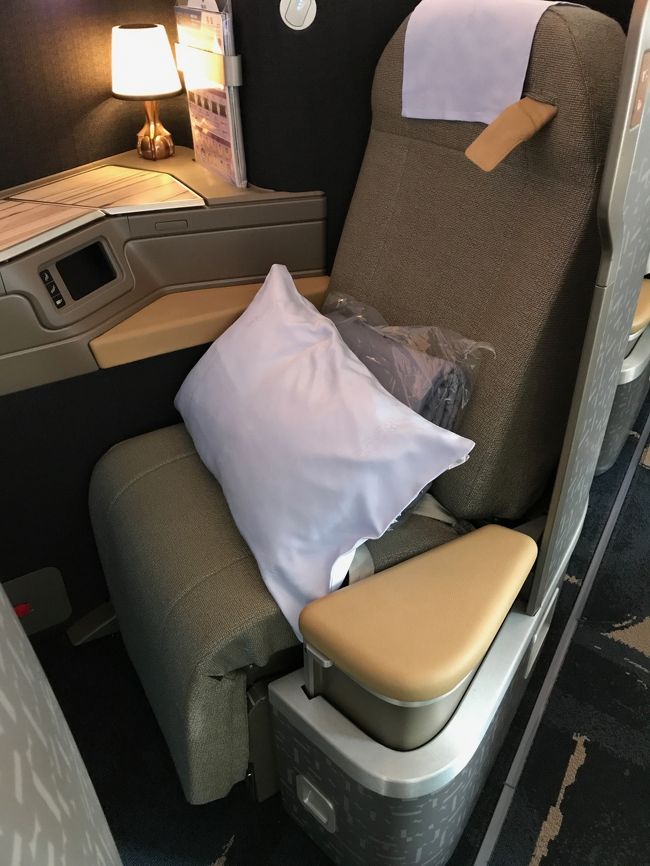 素敵な電気も付いておりました<br />腰のシートベルトをしていたら、たすき掛けになるシートベルトもするようにとCAさんに言われました。