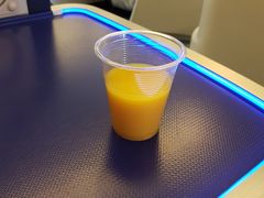 ウェルカムドリンクはシャンパンかオレンジジュースということでオレンジジュースを。

ANAはいつからウェルカムドリンクがプラスチックになってしまったのやら。


