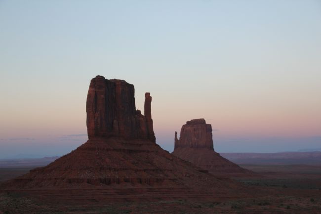 色々な表情を見せてくれます。