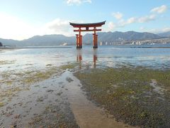 冬の青春１８きっぷで大阪から広島まで行き一泊した後、宮島まで

やって来ました。