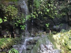 温泉前から入った歩道を5分ぐらい歩いて行くと、これも有名な観光名所である浦見ヶ滝。

思ってたよりショボ。