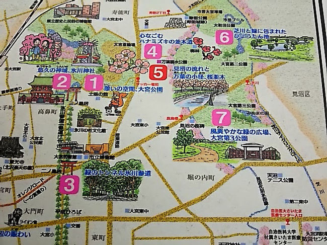大宮区の はなみずき通り へサイクリング 大宮 埼玉県 の旅行記 ブログ By 黒田 温泉 さん フォートラベル