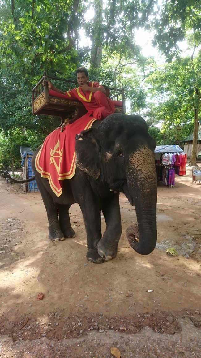 アンコールトム周辺を像で観光できるようです。<br />