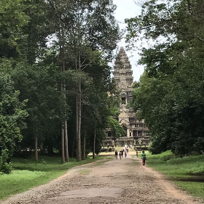 この絵面が気に入ったのでパチリ