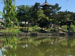 ２０分くらい歩くと右手に猿沢池が見えてきました

ここでちょっと小休止。
池の周りにベンチや自販機、奥の方には甘味処もありました

池からの五重塔の眺めは本でもよく見た光景ですね。