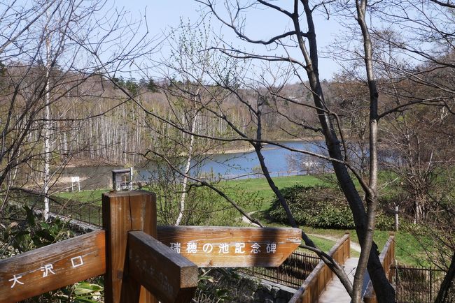 17 5 水芭蕉シーズンの野幌森林公園を歩いた歩いた14キロ 江別 北海道 の旅行記 ブログ By ゆんこさん フォートラベル 17 5 水芭蕉シーズンの野幌森林公園を歩いた歩いた14キロ 江別 北海道 の旅行記 ブログ By ゆんこさん フォートラベル
