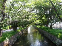 西武拝島線武蔵砂川駅から歩いて国営昭和記念公園砂川口に向かいます。
この辺りは、玉川上水が西武拝島線にほぼ並行して流れています。