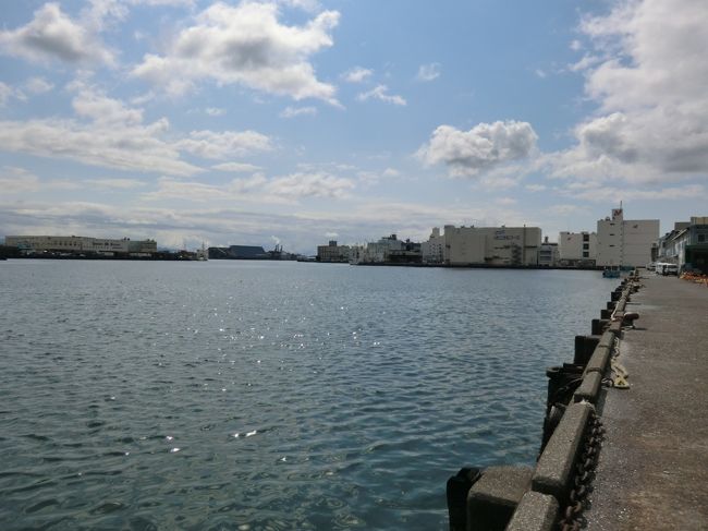 みなと口から出ると、清水漁港が目の前にあります。