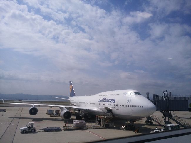 今回は、anaからweb予約にて航空券を購入☆