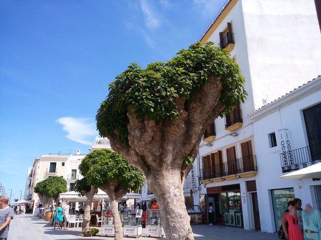 これは、ハートの木！？