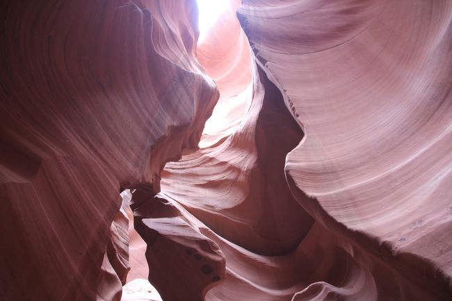 中は別世界ですね。