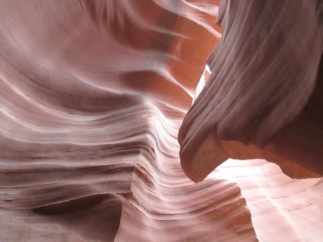 ロアーでは真上からビームのような写真が撮れる場所がないですね。<br />次はアッパーのお昼狙いですね。