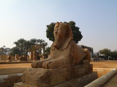 また、こちらにはエジプトで２番目に大きなスフィンクスが祭られています。
と言っても、約10ｍといったところで、ギザのスフィンクスに比べたらやはりかなり小さいです。
