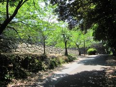 食後は散歩も含めて大村城の在る「大村公園」へ行きました。

観光案内所の在る観光センターに駐車をさせて頂いて、色々と情報を伺いました。

では、大村城跡へ向かってぶらぶら歩きます～。
