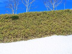 5月だとまだ北海道には雪が残っている場所もあり、これは道中の小清水峠ですが、春はこれからという感じです。
