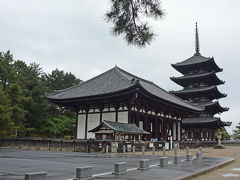 興福寺五重塔が見えてきました。