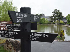 南円堂から三重塔が見えたので行きかけたら、猿沢池が見えました。