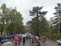 修学旅行生と韓国人など外国人が多かった。

東大寺中門にて。 