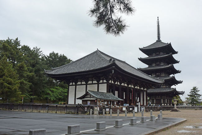 興福寺五重塔が見えてきました。