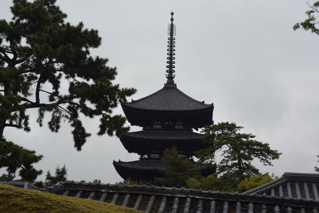 三重塔が見えました。<br />後程行くことにしました。