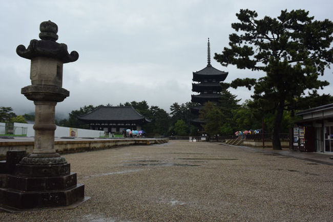 南円堂前から見た興福寺五重塔です。 