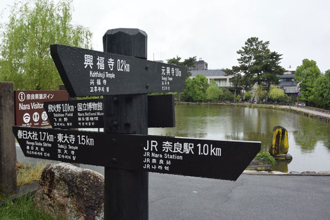 南円堂から三重塔が見えたので行きかけたら、猿沢池が見えました。