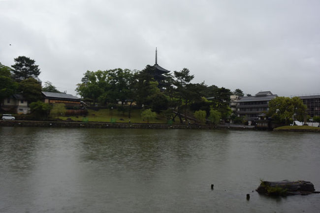 猿沢池越しの興福寺五重塔です。