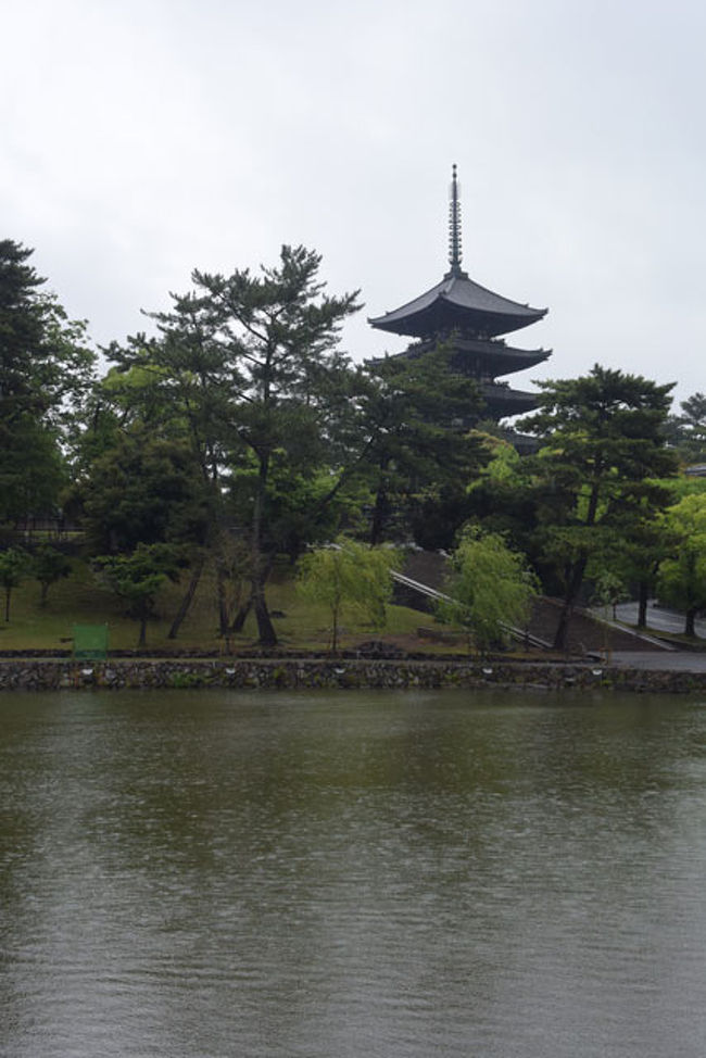 猿沢池越しの興福寺五重塔です。