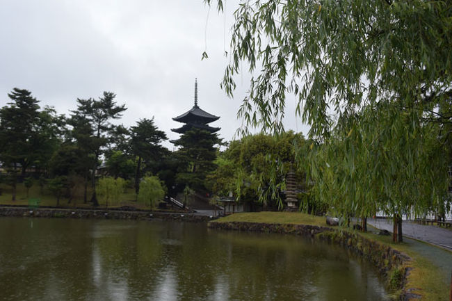 猿沢池越しの興福寺五重塔です。