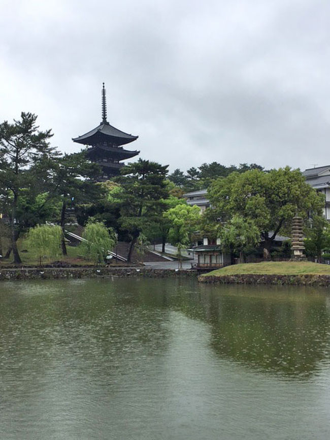 猿沢池越しの興福寺五重塔です。<br />晴れていればもっと綺麗だったでしょう。