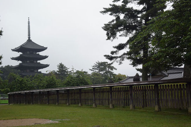 興福寺五重塔を見ながら…。