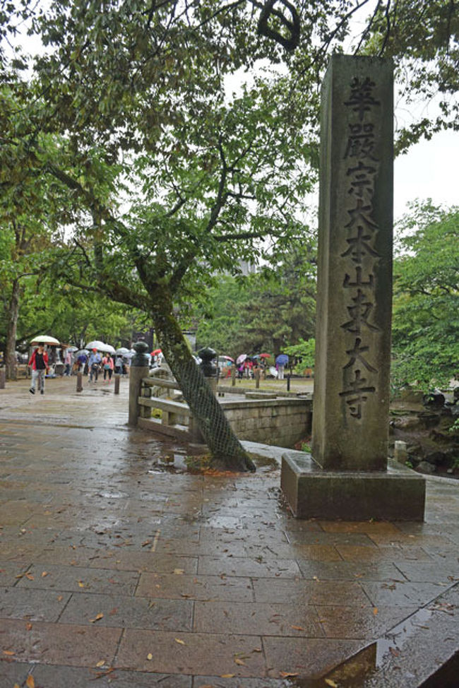 そして、大仏殿に向かいます。