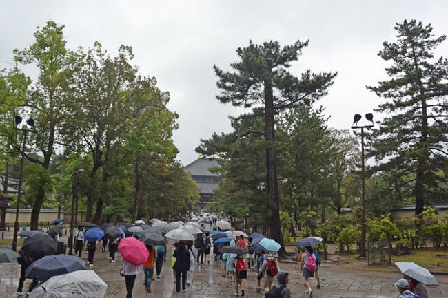 修学旅行生と韓国人など外国人が多かった。<br /><br />東大寺中門にて。 