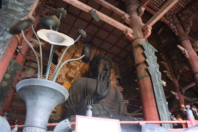 大きいです。<br />「鎌倉の大仏とどちらが大きいのかな。」<br />疑問に思ったので調べてみました。<br /><br />・ 奈良の大仏<br /> 像高14.98m、台座3.05m、台座約130t、下から見上げたときの高さ18m、重さ約250t<br /><br />・ 鎌倉の大仏<br /> 像高11.3m、台座2.05m、台座を含む高さ13.35m、重さ約124t<br /><br />高さを比べると圧倒的に奈良の大仏の方が大きいのですが、重さも注目してみましょう。かなりの差があります。鎌倉の大仏の中が全部空洞になっているせいでしょうか。それとも小さいせいでしょうか。これだけの重さの差があるのです。もちろん奈良の大仏よりもはるかに大きい大仏はありますが、有名な大仏でここまで大きいのは目をみはるものがあります。<br />(奈良・鎌倉大仏百科のHPより)<br /><br />大仏殿