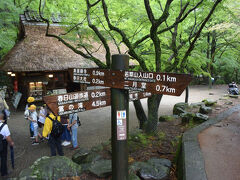 春日大社に向かいます。