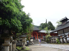 春日大社に来ました。

春日大社