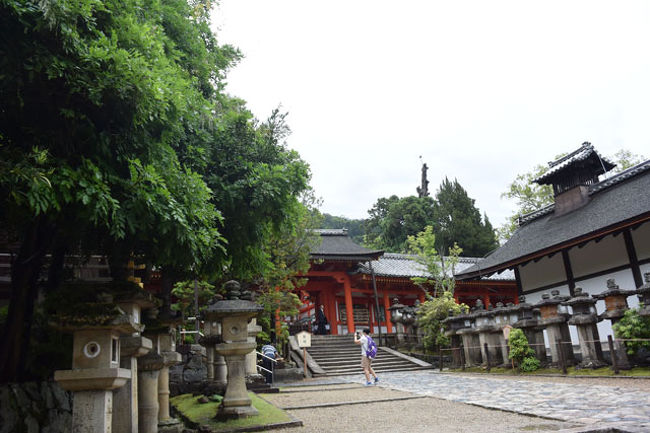 春日大社に来ました。<br /><br />春日大社