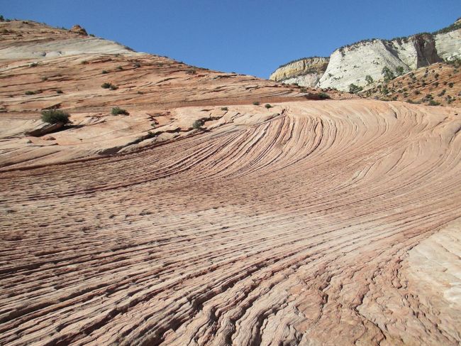 広いので1泊はしたいですね。
