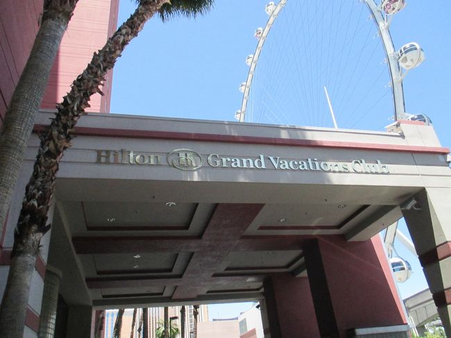 今日から4泊はヒルトン＠フラミンゴです。（写真は翌日撮影）