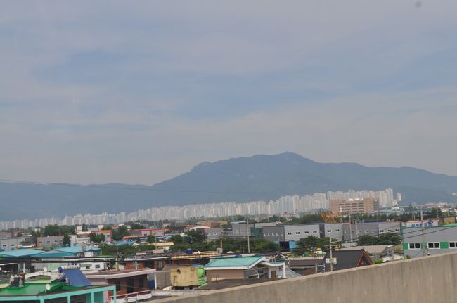 　洛東江の左岸は高層マンションです。