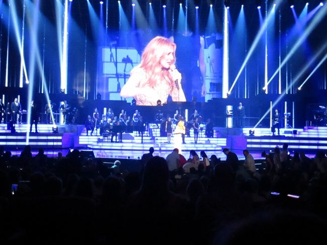 始まりました。セリーヌのコンサートは写真OKです。動画はNG。