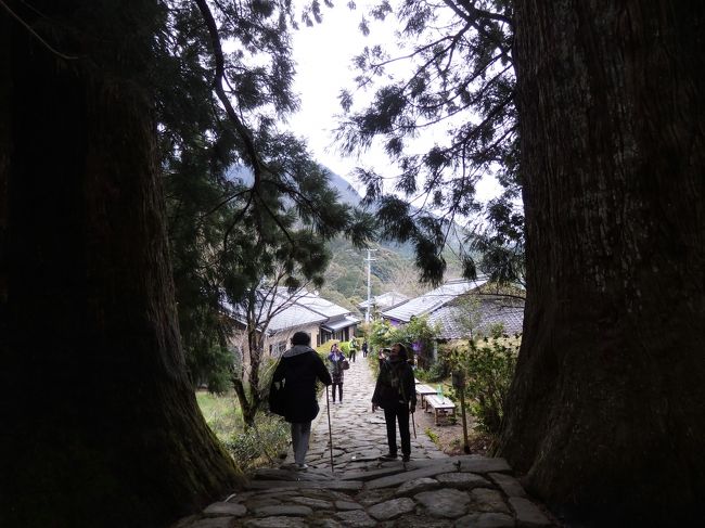 この両脇にある夫婦杉が有名です