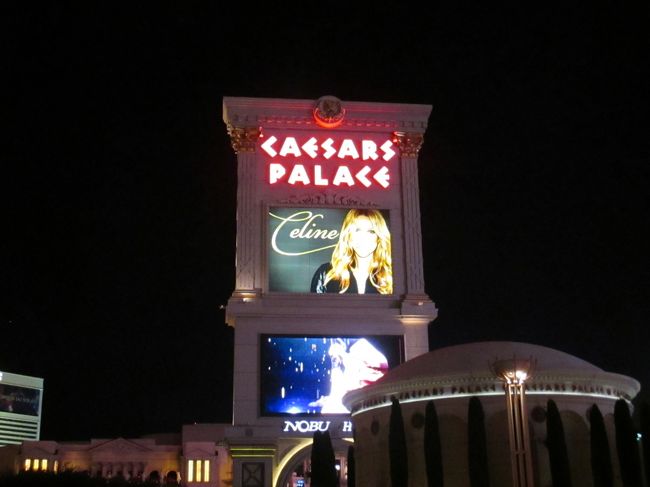 ２時間のコンサートでした。日程が合って本当に良かった。<br />今まで以上にセリーヌが大好きになりなした。