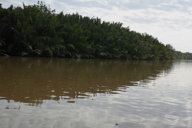 出航して程なく、このような景観になります。<br /><br />左側に座ったので、岸が遠いです。<br /><br />行きはずーっと右側を通っていて、何でかな？<br /><br />と思ったら、反対側もJETTYとか、原住民？のボートが通っていました。<br /><br />ちゃんと車線があるんですね。（そりゃそうか。）