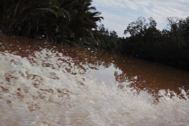 何だか良く分からない写真だと思いますが、<br /><br />これは、左に大きく旋回したときの水しぶきです。<br /><br />結構迫力ありました～。<br /><br />スマホのGPS＆オフライン地図で航路とスピードをチェック。<br />（androidのlocusというアプリ＋openandromaps使用）<br /><br /><br />最高速度約７０km/h<br /><br />カーブでも４０～５０km/h<br /><br />振動がダイレクトに響き、船体が傾くので、バイクに乗ってるみたいで楽しい！<br /><br />運転したら楽しそうだな～と思いながら、ジャングルクルーズを楽しみます。