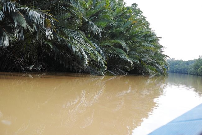 程なくして、中継地点に近づき、スピードが落ちてきます。<br /><br />JETTYでの移動中はずーっとこんな感じでした。