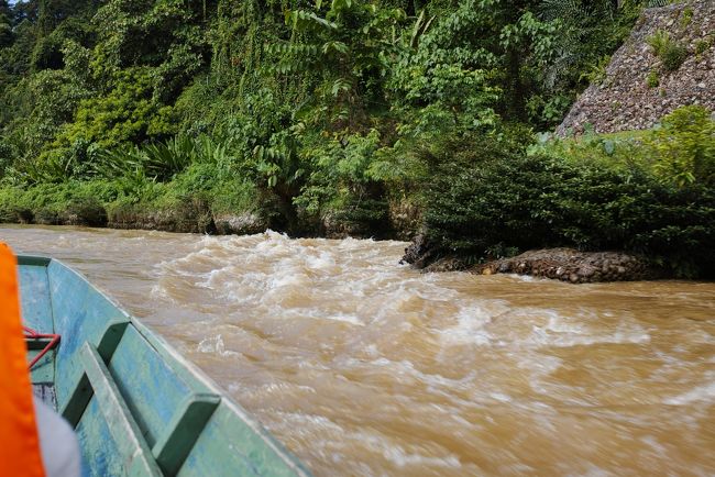 さてさて、さらにボートに乗り換えて奥地に移動します。<br /><br /><br />乗る際に、<br /><br />とても危険だから揺らしたり、後ろを振り向いたりしないように！<br /><br />と注意されます。<br /><br /><br />鬼怒川のライン下り以来ですが、船はやはり小さく水面が近い。<br /><br />だから、スピード感を感じます！<br /><br /><br />ちょっと手を伸ばせば水面を触れますが、危ないのでやめましょうね。